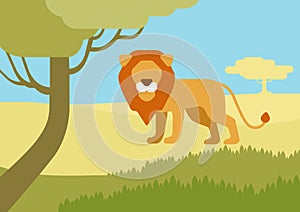 Lion habitat flat design cartoon vector wild animals