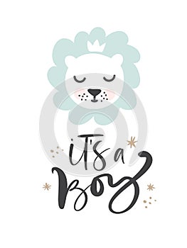 Lion hand drawn illustration vector in doodle style and calligraphic text It s boy. Cute lion head. Kids, baby design