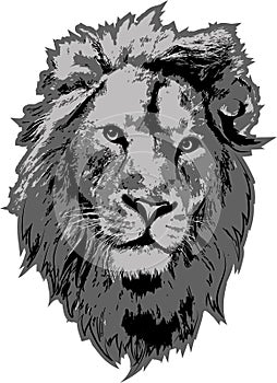 Lion head in 3 gray colors interpretation