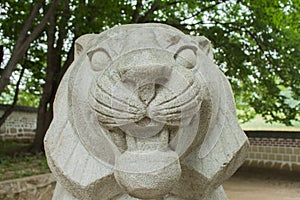 Lion head