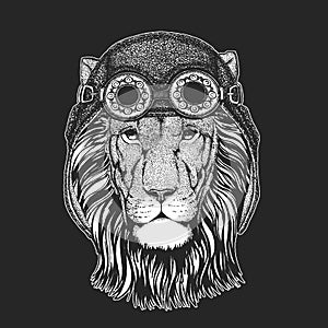 Lion head. Aviator leather helmet. Wild animal portrait. Face of african cat.