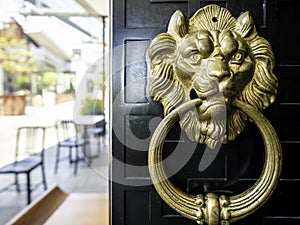 Lion head brass door knocker with a round handle