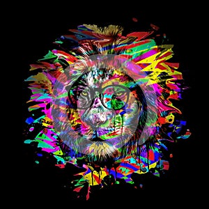 Lion head with colorful creative abstract element on white background