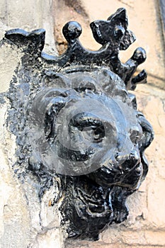 Lion head decoration photo