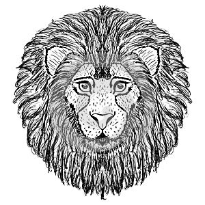 Lion head design