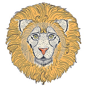 Lion head design