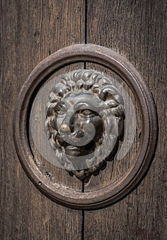 Lion head on the door, black and white