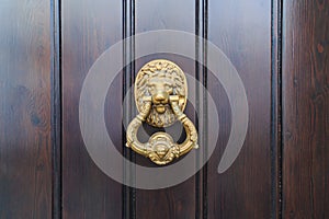 Lion head door knock on an old new wooden door in Malaga, Spain