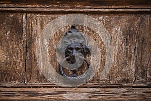 Lion head door knocker