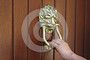 Lion Head Door Knocker