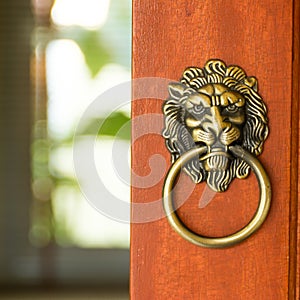Lion head door knocker
