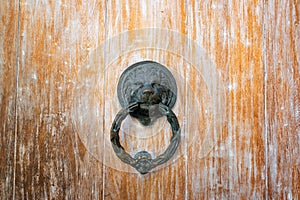 Lion Head Door Knocker