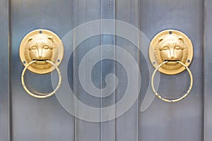 Lion head door trim