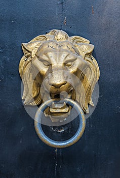 Lion head doorknocker on a metal door