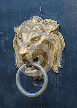 Lion head doorknocker on a metal door