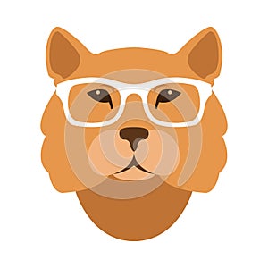 Lion head face in the glasses vector illustration flat