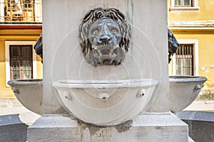 Lion head fountain in spa town Baile Herculane photo