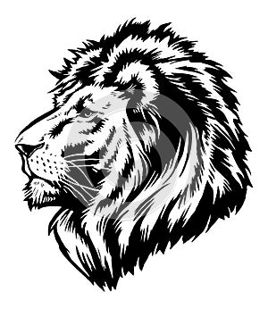 Lion Head Graphic