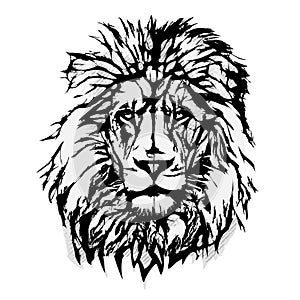 Lion Head Graphic