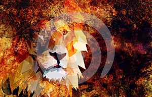 Lion head graphic portrait with polygonal effect on abstract background.