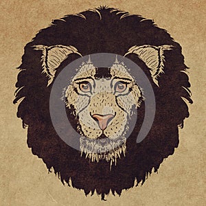 Lion head grunge design