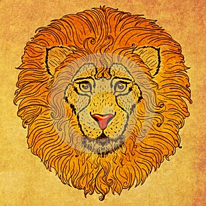 Lion head grunge design