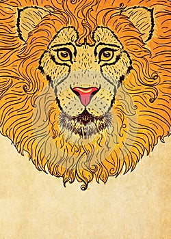 Lion head grunge design