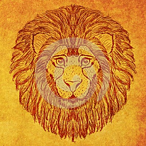 Lion head grunge design