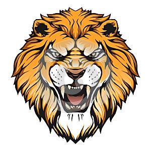 Lion head illustration