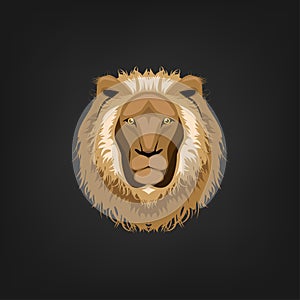 Lion head illustration ,