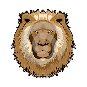 Lion head illustration ,