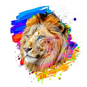 Lion head illustration color art