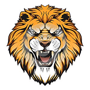 Lion head illustration photo