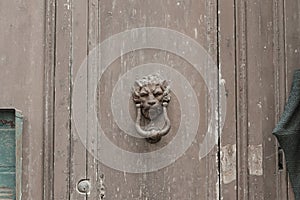 Lion head knob - Door Handle