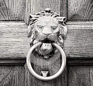 Lion head knocker on an old wooden door
