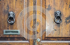 Lion head knockers on an old wooden door