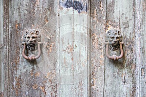 Lion head knockers on an old wooden door in Tuscany.