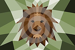 Lion head with poly diagonal design. photo