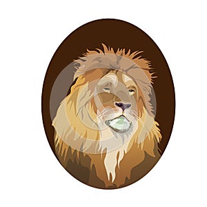 Lion head portrait in oval frame, realistic vector