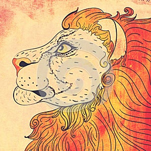 Lion head profile grunge design