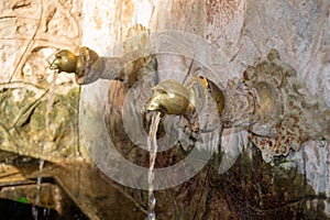 Lion head shaped copper faucet in a public site