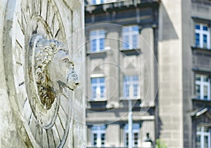 Lion head statue on stone fountain wall spouting water