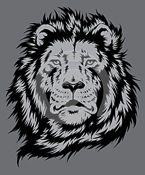 Lion Head Vector