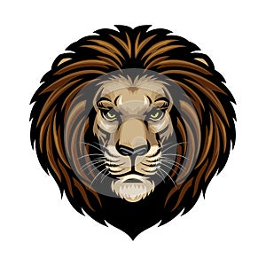 Lion Head photo
