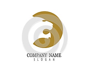 Lion head vector icon