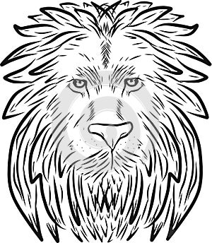 Lion head - vector logo template creative illustration. Animal wild cat face graphic sign. Pride, strong, power concept