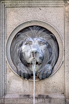 Lion head water fountain