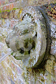 Lion head waterspout in an English garden