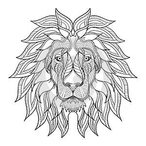 Lion head zentangle, doodle stylized, vector, illustration, hand