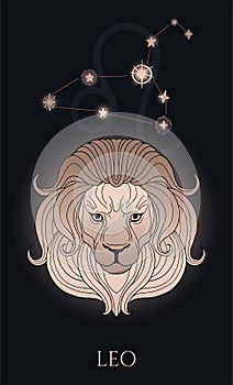 lion head, zodiac sign - leo with stars